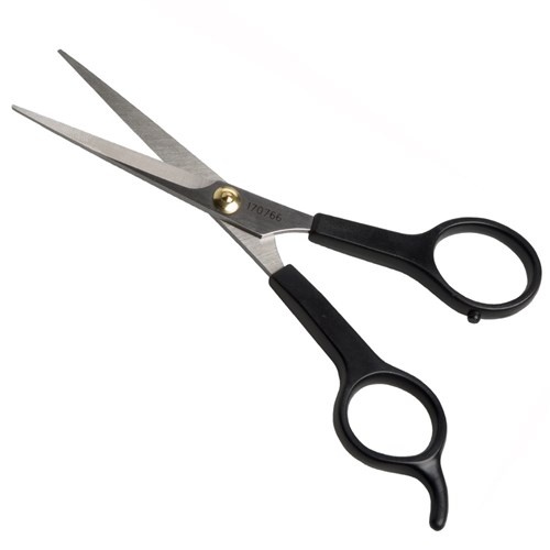 Iceman Salon Pro Scissors 5.5inch (plastic handle)